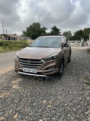 Hyundai Tucson 2017 Brown