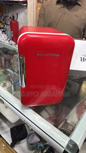 Mini Car Fridge