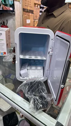 Mini Car Fridge