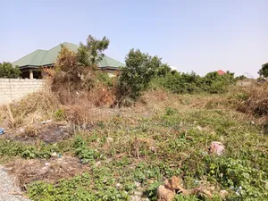 Affordable Land - Danfa