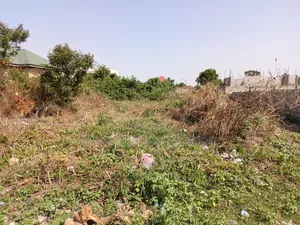 Affordable Land - Danfa