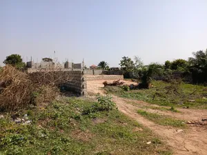 Affordable Land - Danfa