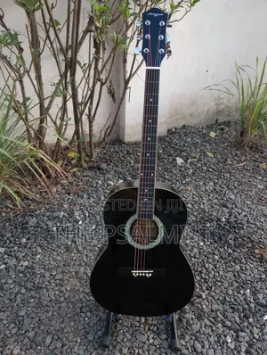 Martin Smith Bronze Strings Guitar & Padded Bag