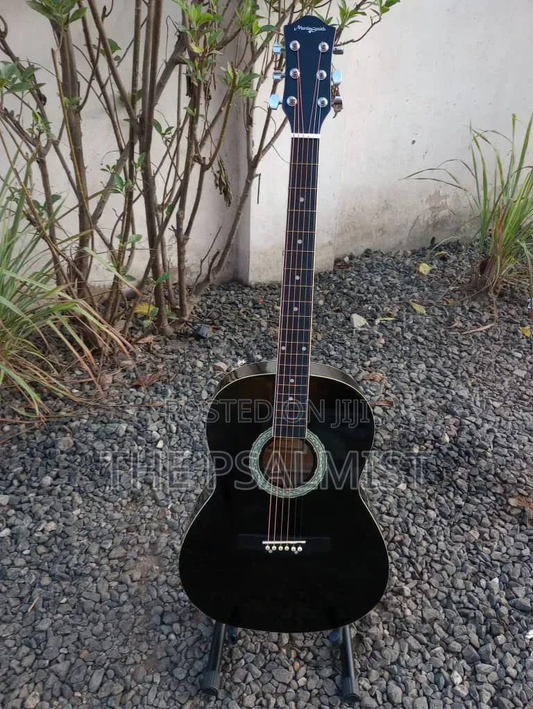 Martin Smith Bronze Strings Guitar & Padded Bag