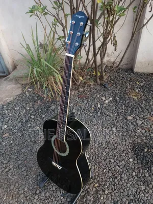 Martin Smith Bronze Strings Guitar & Padded Bag