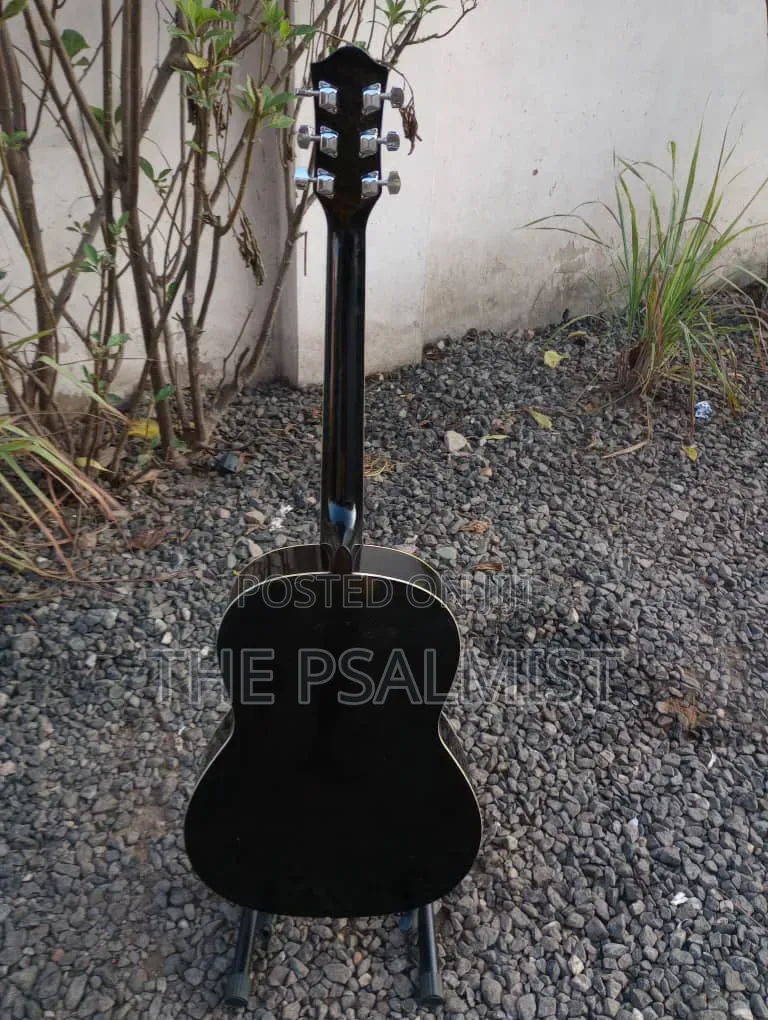 Martin Smith Bronze Strings Guitar & Padded Bag