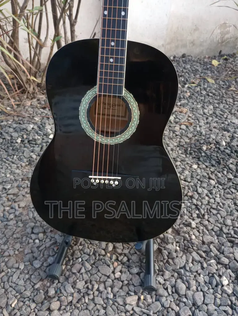 Martin Smith Bronze Strings Guitar & Padded Bag