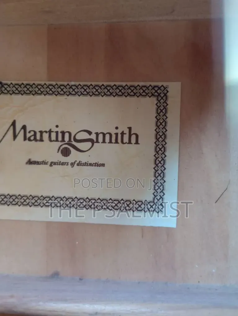 Martin Smith Bronze Strings Guitar & Padded Bag