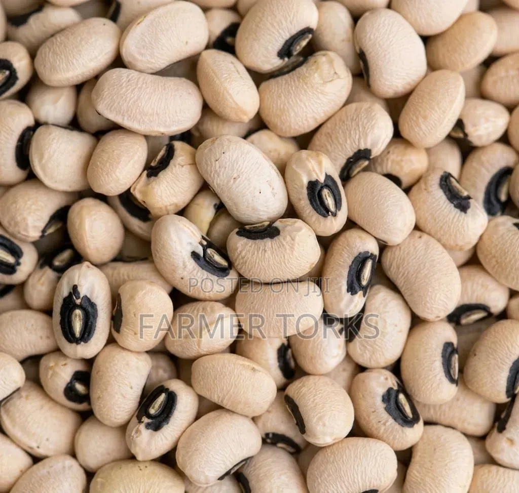 High Grade a Beans ( Olonka)