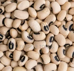 High Grade a Beans ( Olonka)