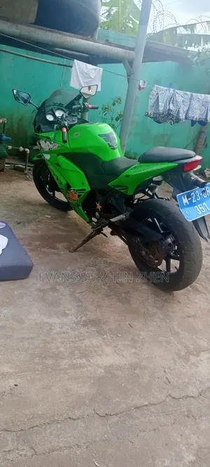 Kawasaki Ninja 300 2022 Green