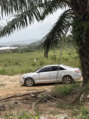 Toyota Camry 2011 Silver