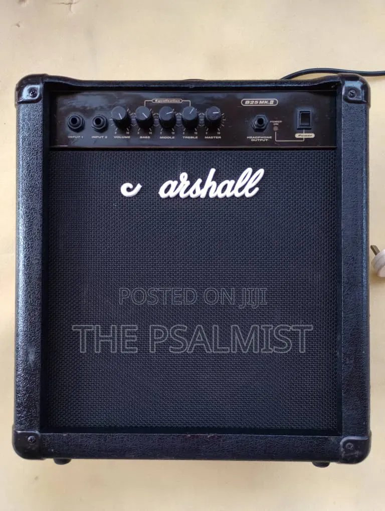Marshall B25 Mini Bass Guitar Combo