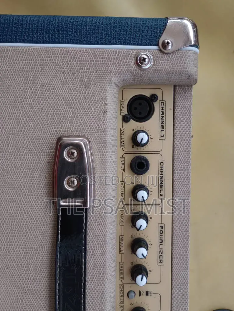 Subzero SZ Acoustic 25C Combo