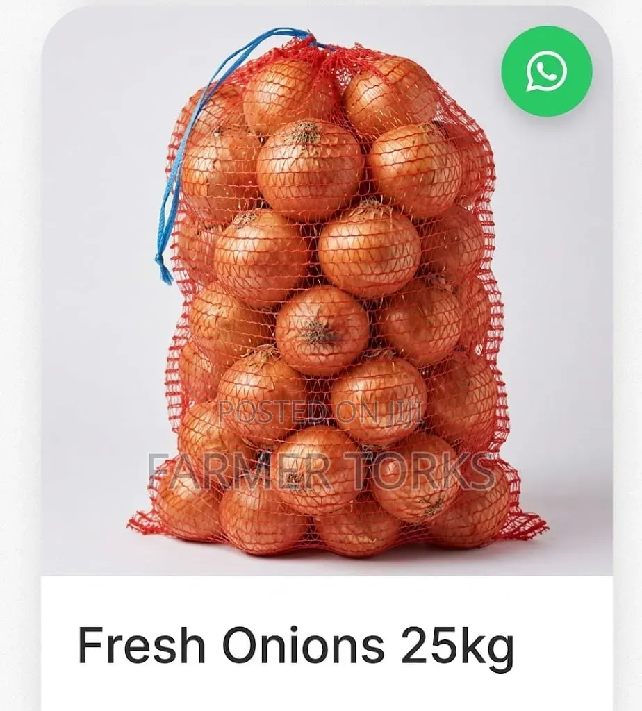 Fresh Onion 25kg