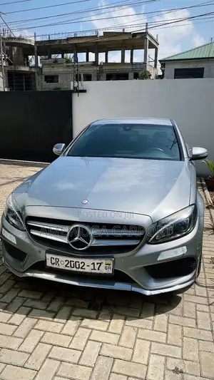 Mercedes-Benz C300 Luxury Sedan RWD (2.0L 4cyl 7A) 2016 Silver