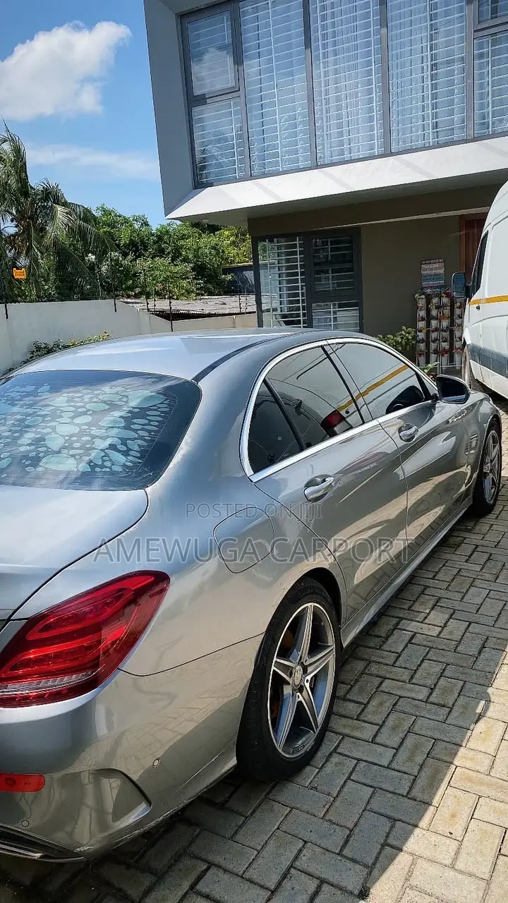 Mercedes-Benz C300 Luxury Sedan RWD (2.0L 4cyl 7A) 2016 Silver