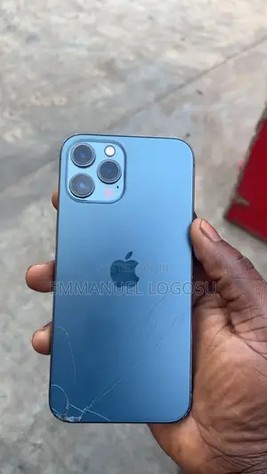 Apple iPhone 12 Pro Max 256 GB Gray