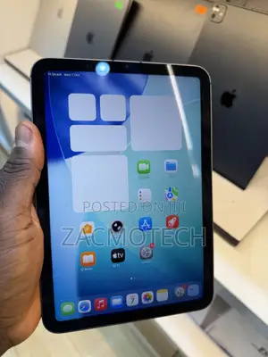 Apple iPad mini Wi-Fi + Cellular 256 GB Gray