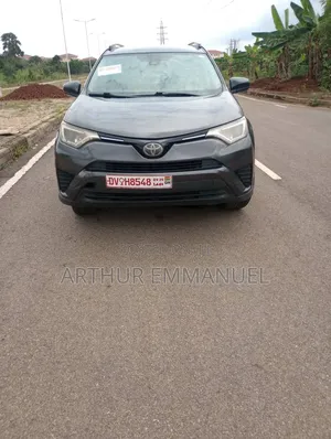 Toyota RAV4 LE FWD (2.5L 4cyl 6A) 2017 Gray