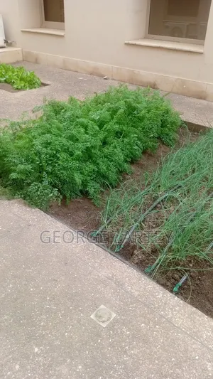Home Garden. Services