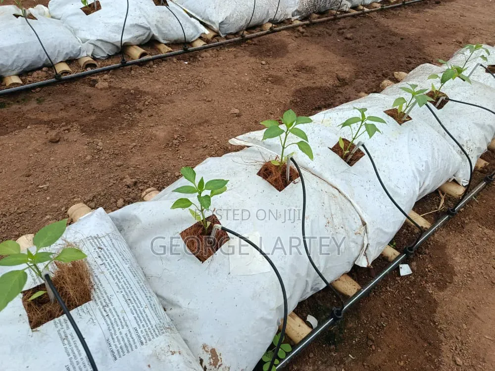 Home Garden. Services