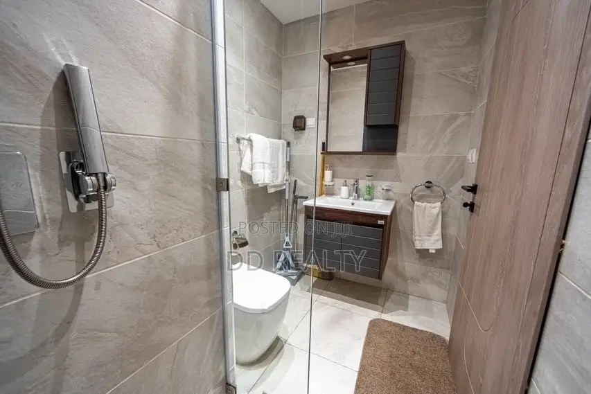 Furnished 1bdrm Apartment in Dzorwulu for rent