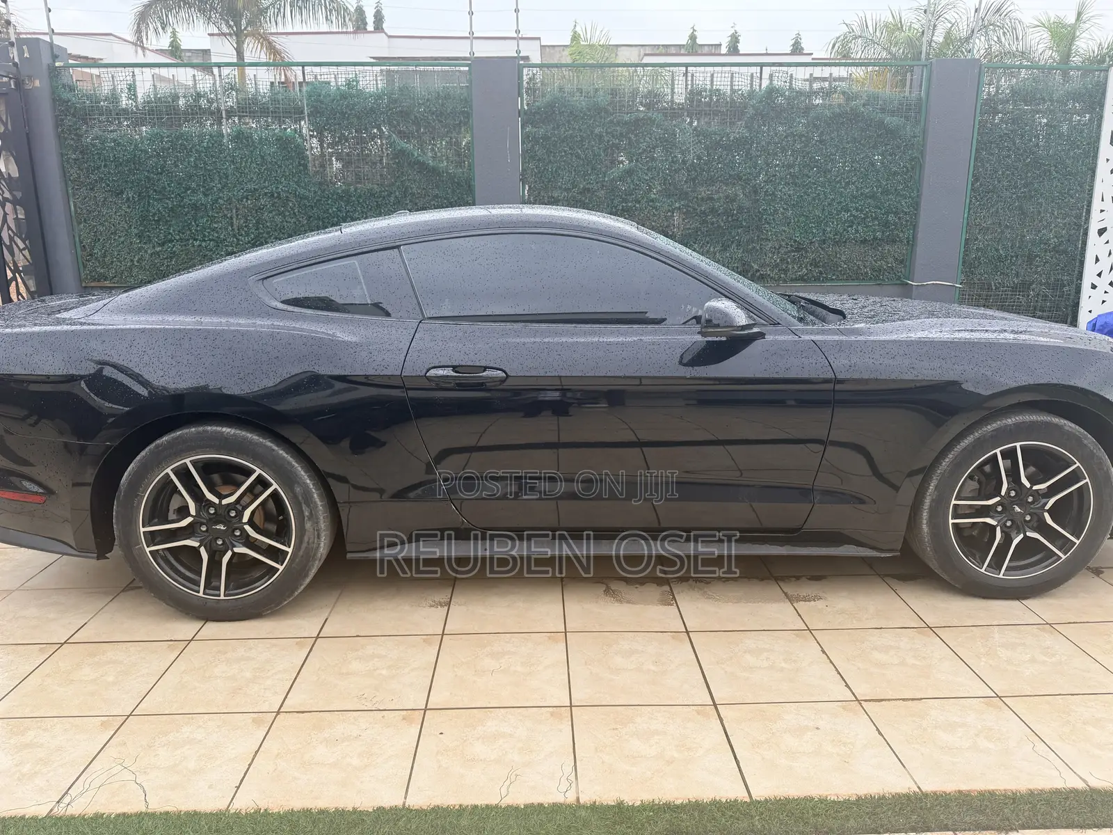 Ford Mustang EcoBoost Premium Fastback 2019 Black