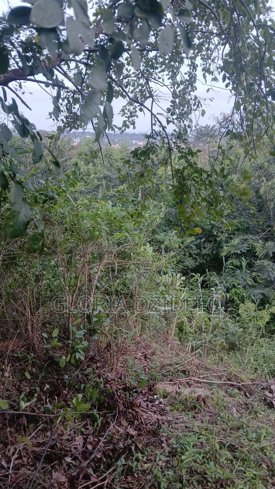 Land at Ho Around Skyplus Hotel for Sale