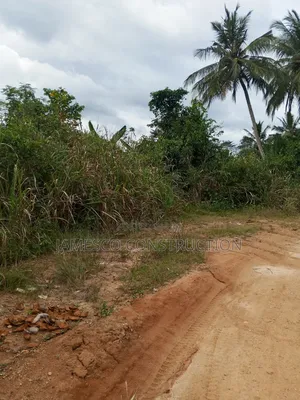 Farmland for Sale