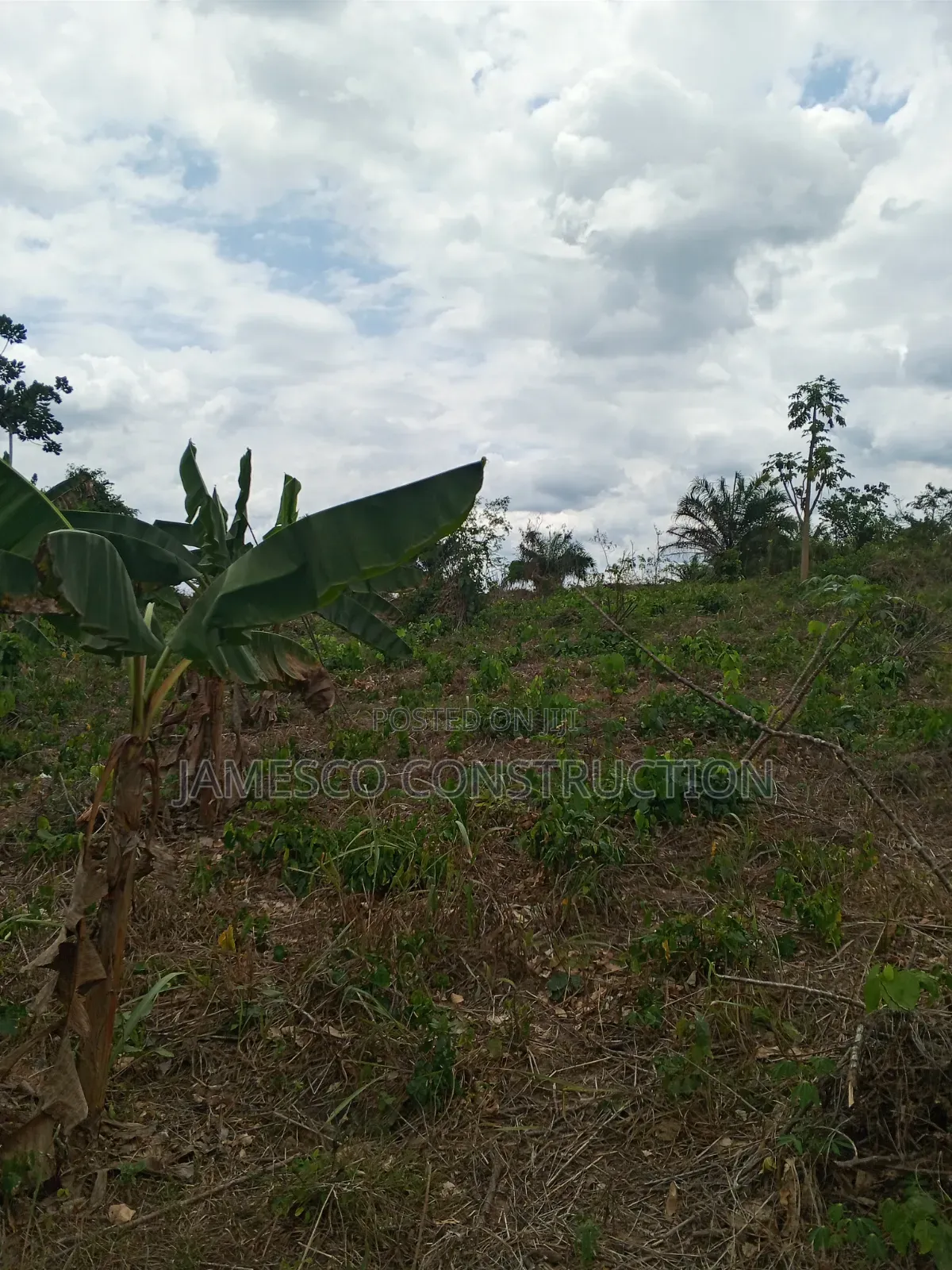 Farmland for Sale