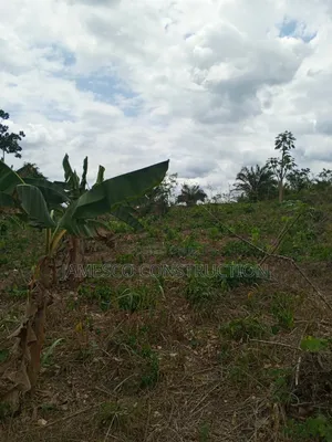 Farmland for Sale