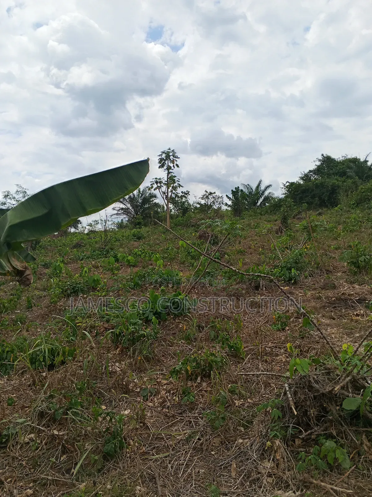 Farmland for Sale