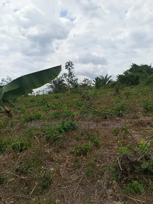 Farmland for Sale
