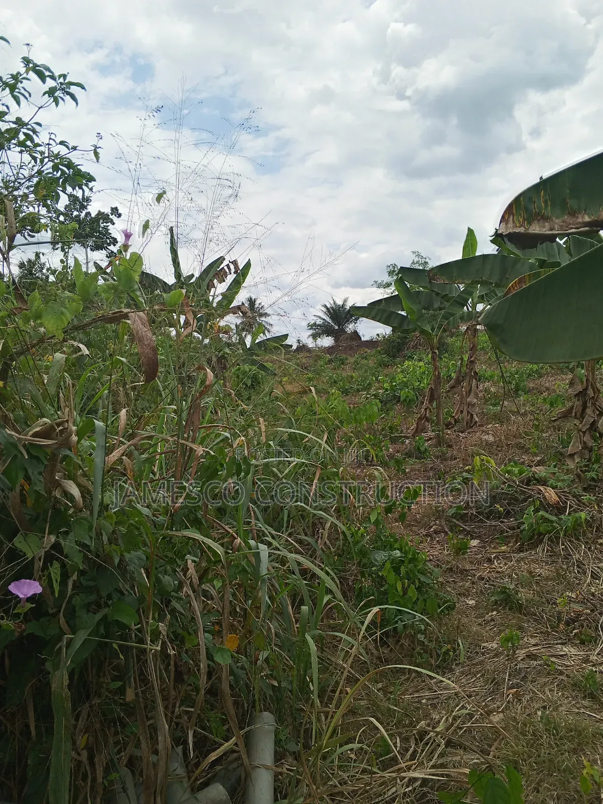 Farmland for Sale