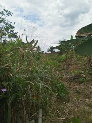 Farmland for Sale