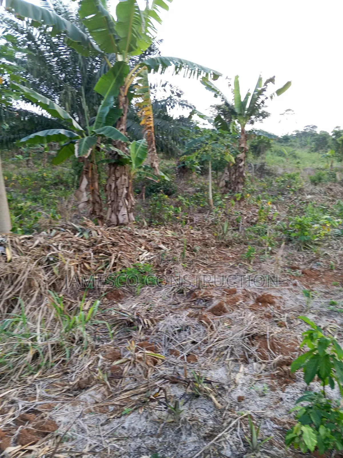 Farmland for Sale