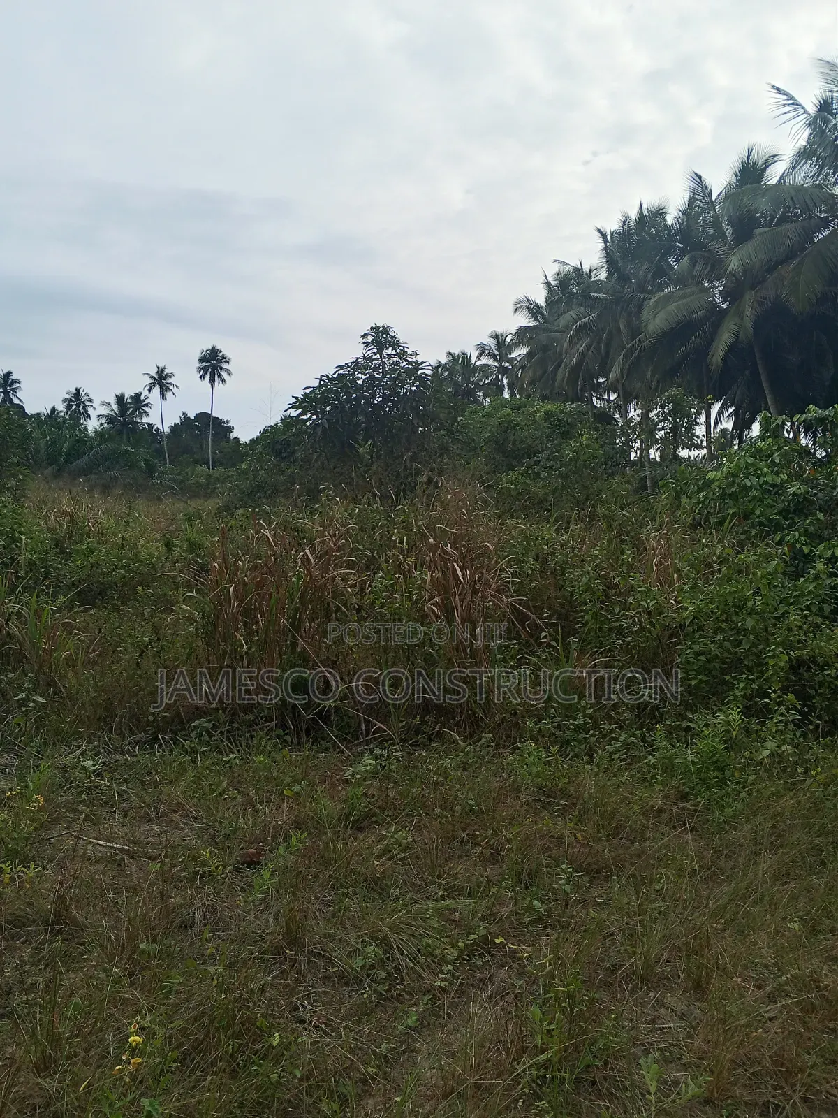 Farmland for Sale