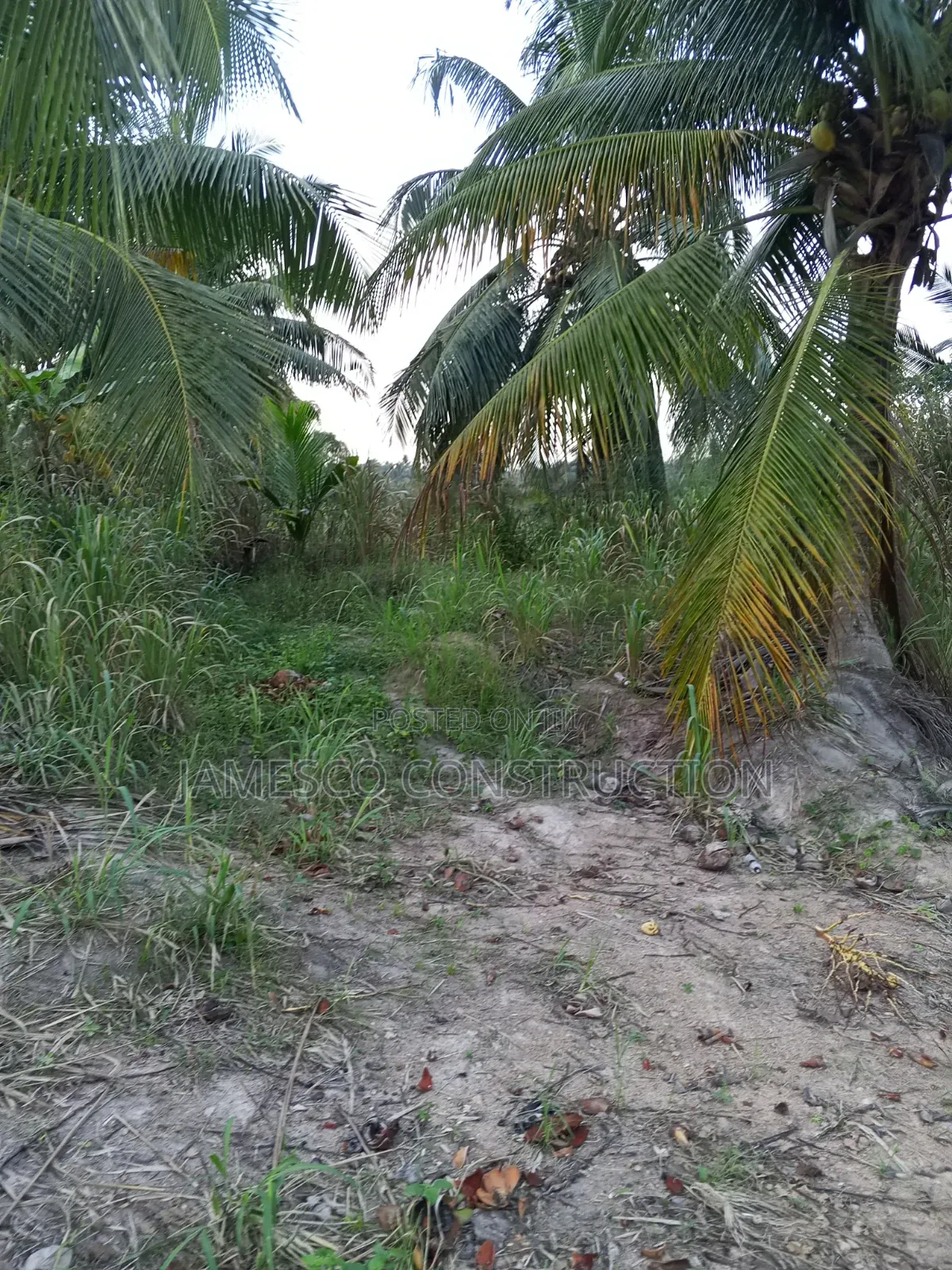 Register Farmland for Sale