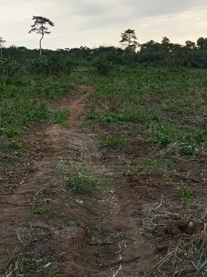 Farmland for Sale