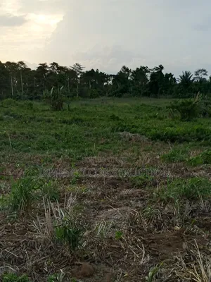 Farmland for Sale