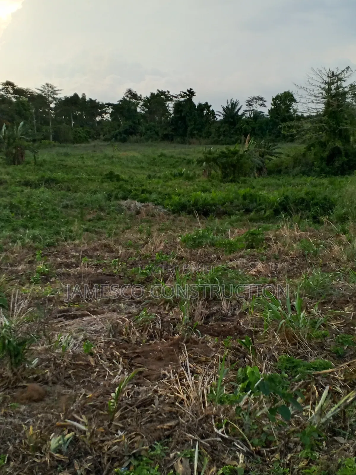 Farmland for Sale
