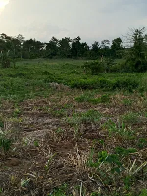 Farmland for Sale