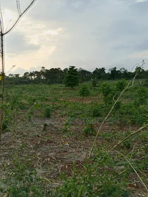 Farmland for Sale