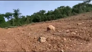 Land for Sale at Oyibi