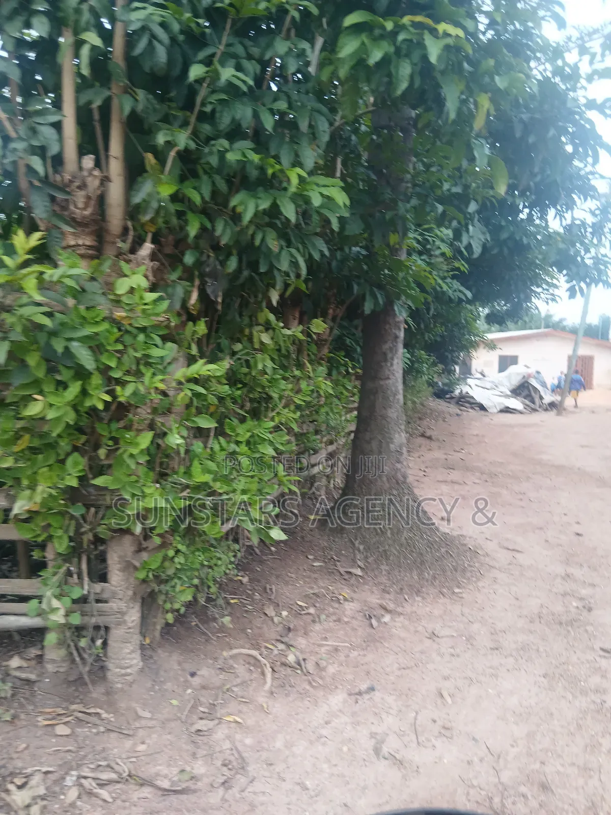 Hohoe Township Land for Sale