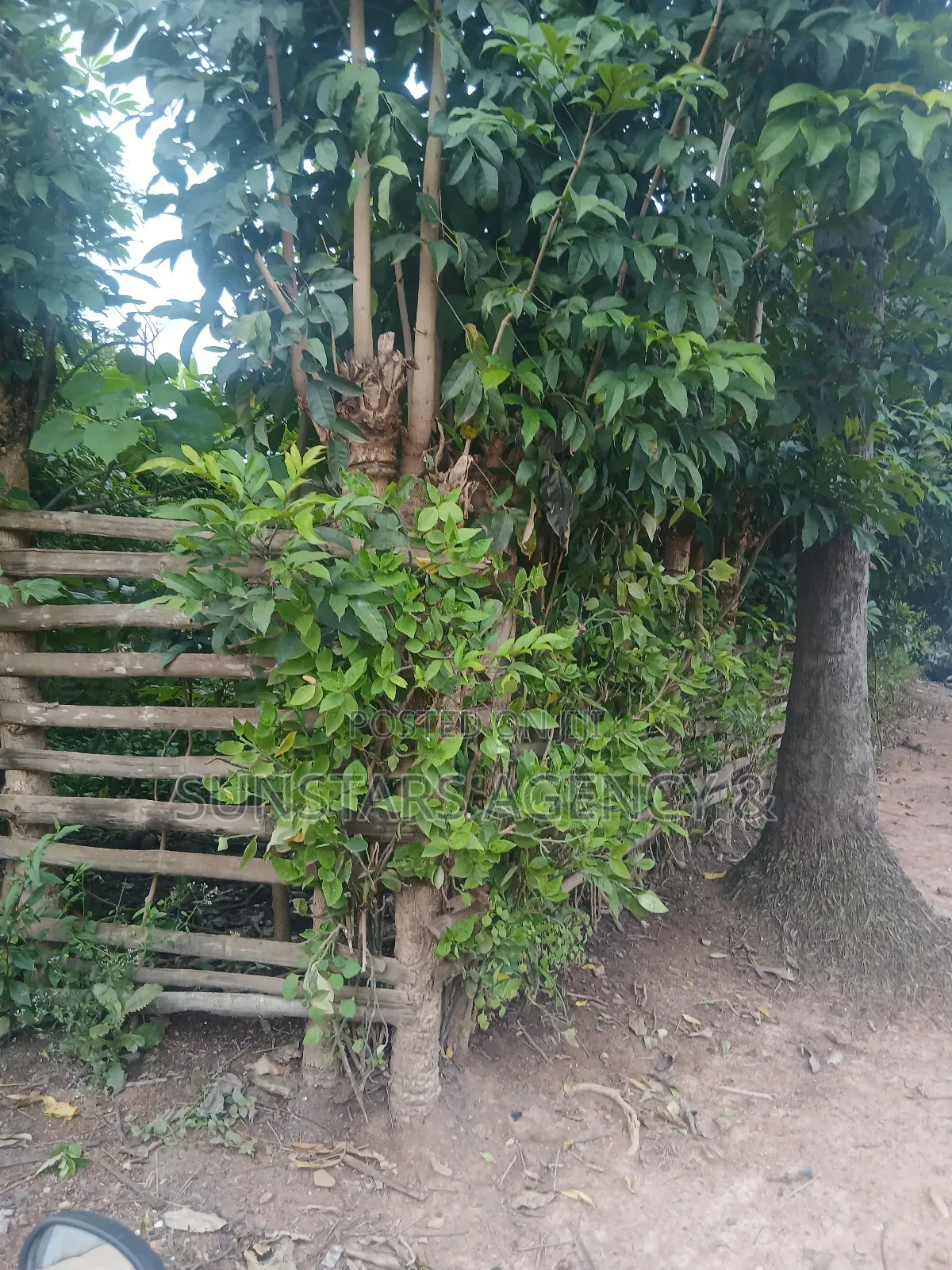 Hohoe Township Land for Sale