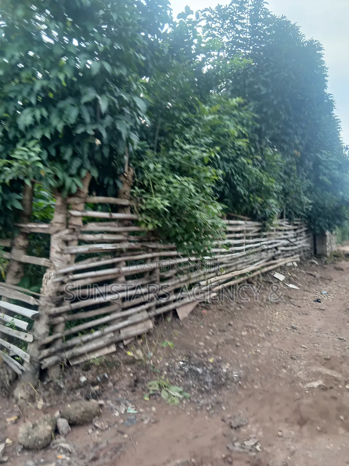 Hohoe Township Land for Sale