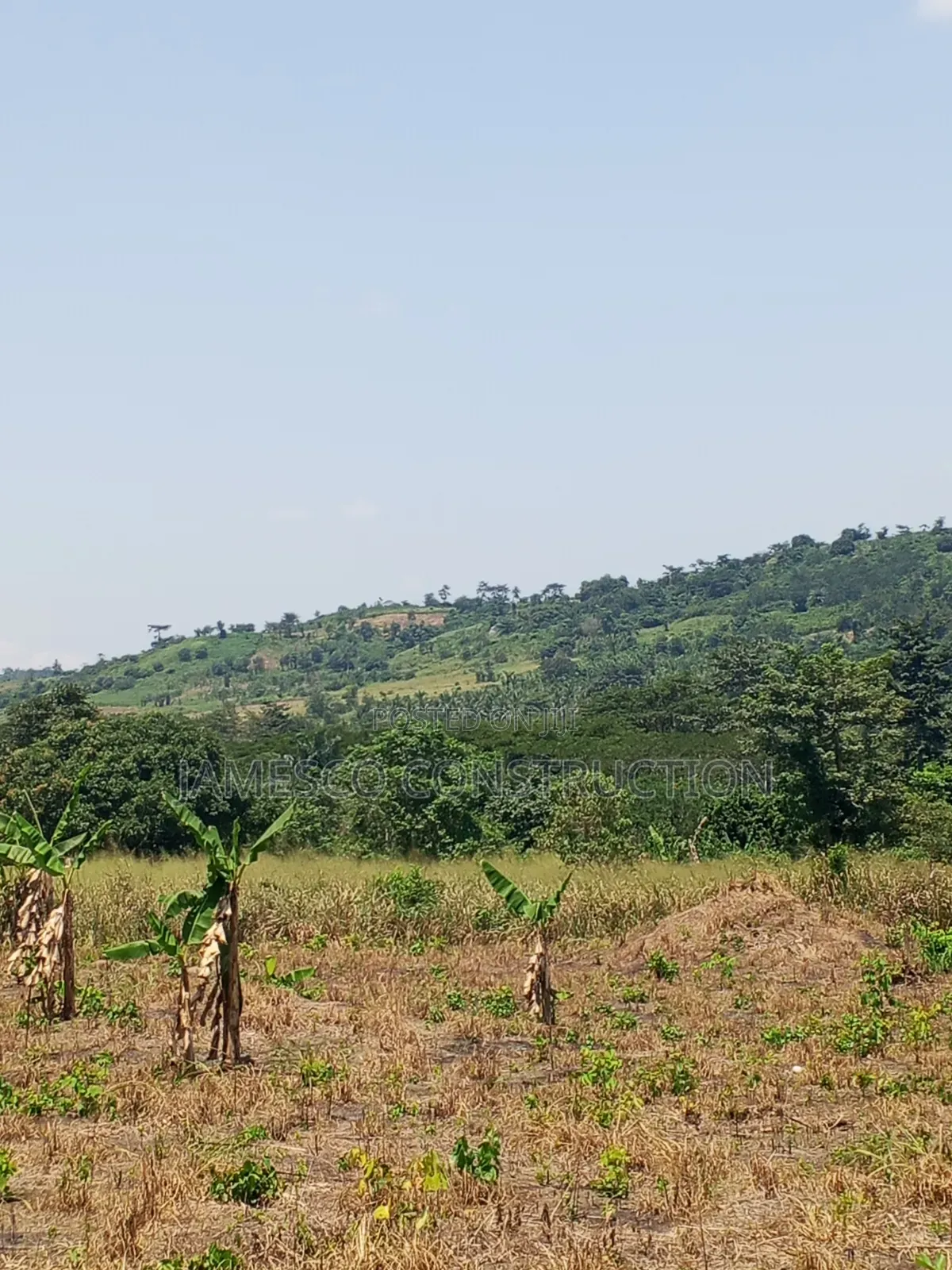 Farmland for Sale in Krachi Bontibor