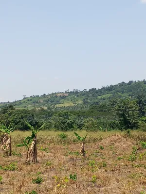 Farmland for Sale in Krachi Bontibor